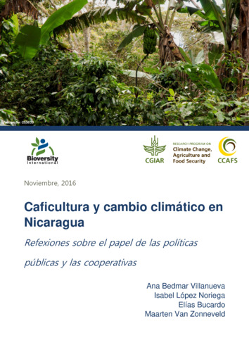 Caficultura Y Cambio Clim Tico En Nicaragua